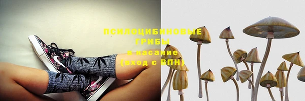 спайс Каменка