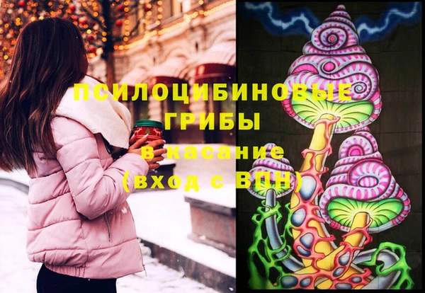 спайс Каменка