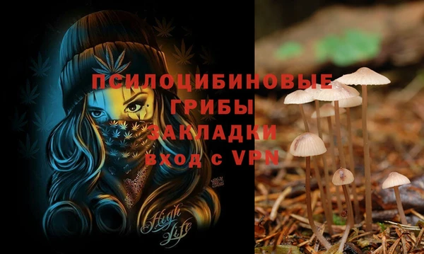 мефедрон мука Каменск-Шахтинский