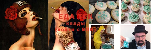 спайс Каменка